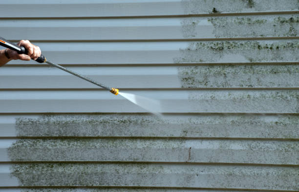 Best Local Mold Removal Service  in Holly Springs, NC