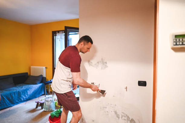 Best Water Damage Restoration  in Holly Springs, NC